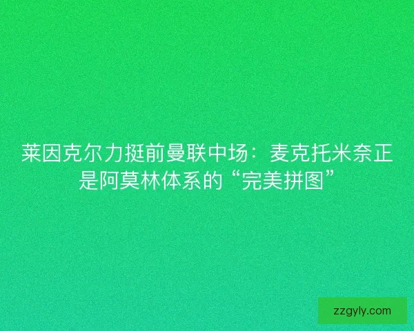 莱因克尔力挺前曼联中场：麦克托米奈正是阿莫林体系的 “完美拼图”
